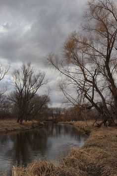 a small river running through a dry grass covered field next to trees and bushes with no leaves on them