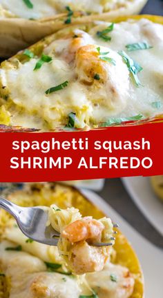 this spaghetti dish is loaded with shrimp, cheese and parsley in a creamy sauce