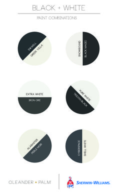 black and white paint combinations with different colors