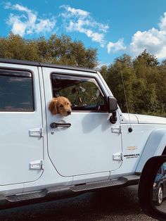 a brown dog sticking its head out the window of a white jeep parked in a parking lot