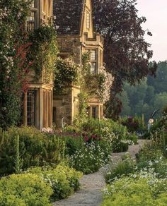 #CottageGarden #DreamGarden #GardenInspiration #CottageCore #EnglishGarden #GardenGoals #FloralDreams #CottageVibes #GardenLove #RusticGarden #GardenMagic #BloomingGarden #CountryGarden #SecretGarden #VintageGarden #BotanicalBeauty #CottageGardenStyle #FlowerGarden #GardenLife #WhimsicalGarden #GardenDesign #CharmingGarden #GardenDreams #CottageStyleGarden #FlowerPower #GardeningInspo #WildflowerGarde Cotswold House, Alchemilla Mollis, Worcester Massachusetts, English Gardens, English Country Gardens, Climbing Roses, Country Style Homes, English Countryside, Country Gardening