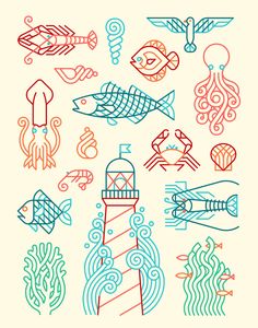 an illustration of different types of fish and sea creatures on a white background with blue, red