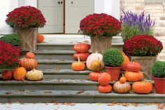 pumpkins and gourds are sitting on the steps