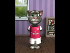 a cat is standing in a room with purple walls and wooden floors, wearing a red shirt that says fv emirates