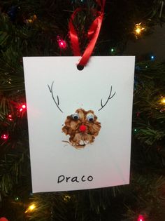 a christmas ornament hanging on a tree with the word praco written in it