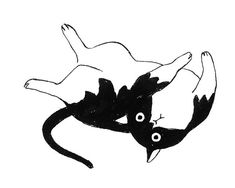 a black and white drawing of a cat laying on its back