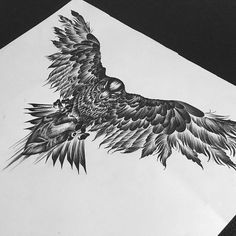 a black and white drawing of a bird with feathers on it's back wing