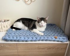 a cat laying on top of a blue blanket