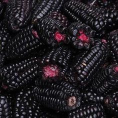 black corn is shown in this close up photo