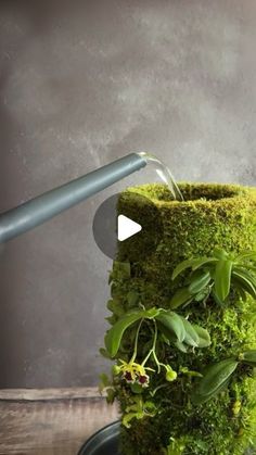 a planter made out of moss with a metal handle