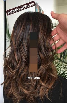 Hairstyle And Color, Melted Caramel, Dyeing Hair, Caramel Balayage, Brunette Color, Fishtail Braid, New Hairstyle