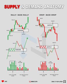 an image of supply and demand in the forex trading system, with text reading supply & demand anatomy