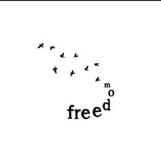 there are birds flying in the sky and one is saying no, no, free