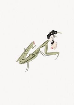 an illustration of a praying mantissa on a white background