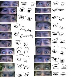 many different types of eyes are shown