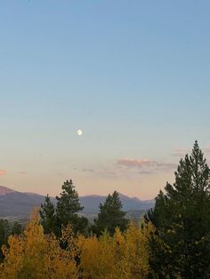 the moon shines brightly in the sky above some trees and mountain tops at dusk