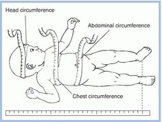 the diagram shows how to use an acupress for diapering and cramps