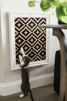 a cat standing on its hind legs in front of a wall hanging with a black and white pattern