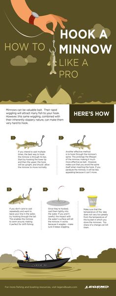 an info sheet describing how to hook a minnow like a pro, and how it works