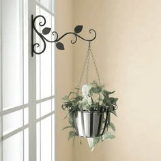 a potted plant hanging from the side of a wall next to a window in a room