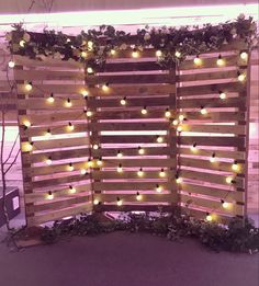 a wooden fence with lights on it and some plants growing around the top half of it