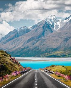 an empty road with mountains in the background and flowers growing on both sides, leading to a large body of water