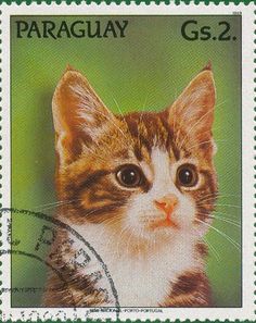 a close up of a postage stamp with a cat