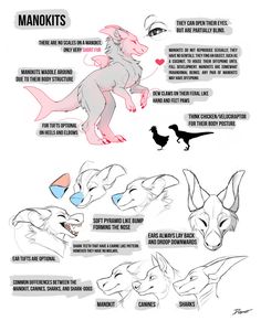 an illustrated guide to how to draw the animals in different poses and positions, including their names