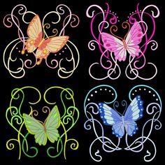 four butterflies with swirl designs on black background