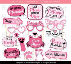 pink and white photo booth props with cat sayings