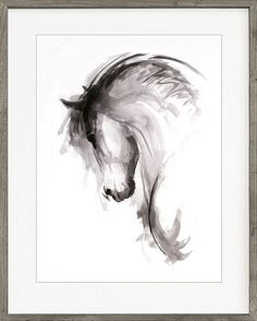 a black and white photo of a horse's head with long hair blowing in the wind