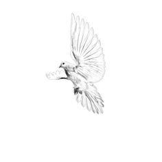 a black and white photo of a bird flying