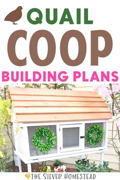 FREE Coturnix Quail Coop Building Plans with image of white cottage style quail coop and blooming garden flowers Winter Quail Coop, Small Quail Coop, Quail Watering System, Outdoor Quail Coop, Quail Hutch Diy, Button Quail Housing Indoor, Quail Pen Ideas, Quail Aviary Ideas, Quail Coop Plans