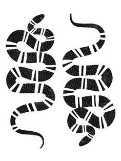 an image of a snake that is on the side of a white background with black dots