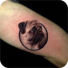 a small pug dog tattoo on the right inner forearm and arm, with a black circle around it