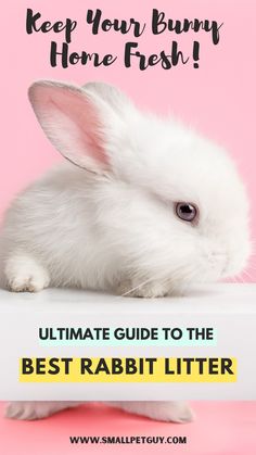 a white rabbit sitting on top of a pink background with the words, keep your bunny home fresh