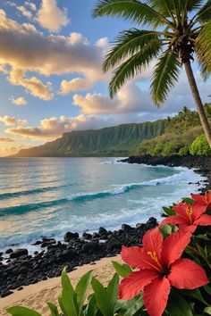 Christmas Aloha: Celebrating the Holidays in Hawaiian Paradise 🌺 Pretty Tropical Places, Christmas In Oahu, Hawaii Life Aesthetic, Tropical Island Aesthetic, Pictures Of Hawaii, Tropical Beach Aesthetic, Beaches Aesthetic, Palm Trees Aesthetic, Hawaiian Aesthetic