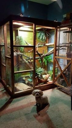 a small white dog sitting in front of a caged animal exhibit with other animals