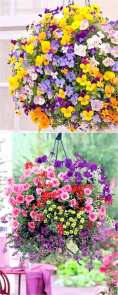 several different types of flowers hanging from the ceiling