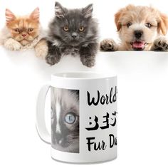 three cats and a dog are sitting behind a coffee mug that says world pet fur day