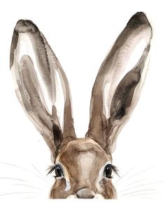 a watercolor painting of a rabbit's face