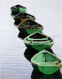 row boats are lined up in the water