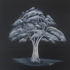 a drawing of a tree in the water