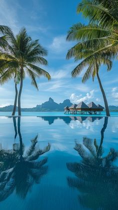 palm trees line the edge of an empty swimming pool with huts in the distance, surrounded by blue water