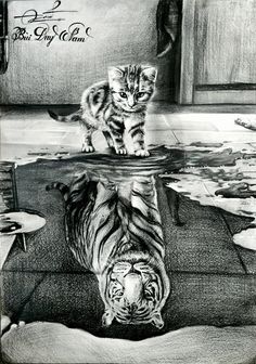 a pencil drawing of a tiger cub looking at its reflection in the water while standing next to it