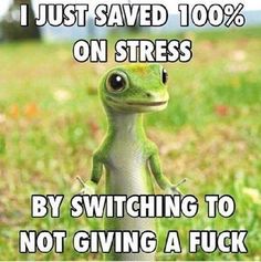 Yup!!! Canceled all my plans today ...Fucking winging it today. Fuck it!!!! 17 August, Sarcastic Quotes, Gecko, Quotes Funny, True Stories, Me Quotes