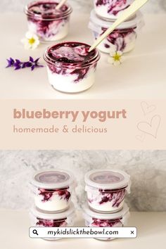 blueberry yogurt is made with homemade and delicious ingredients that are ready to be eaten