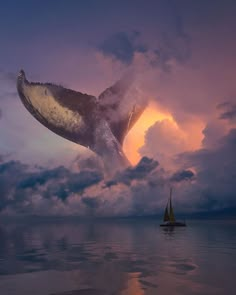 a humpback whale dives into the ocean at sunset