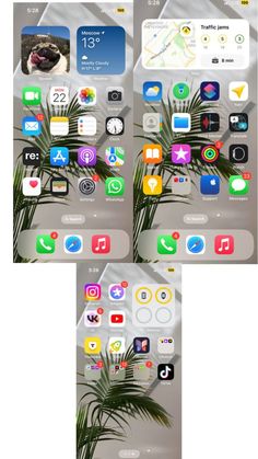 two screens showing the different app icons on an iphone's screen, one with a palm tree in it