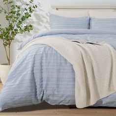 a bed with blue and white comforters in a room next to a potted plant